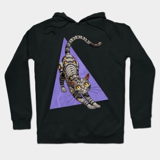 Cyborg Shorthair Cat Hoodie